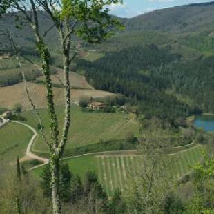 Фотографии базы отдыха 
            Agriturismo Vinci