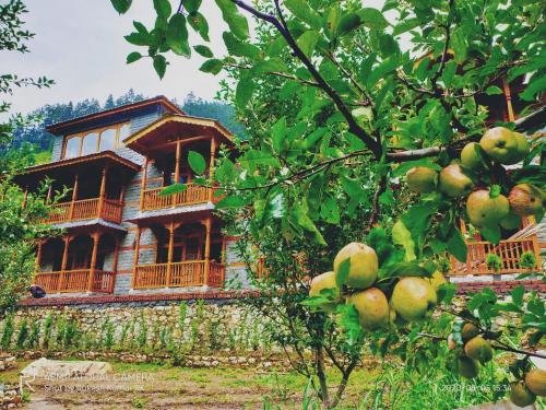 Фотографии гостиницы 
            The Blue Stream Cottage