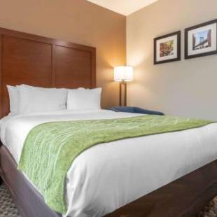 Фотографии гостиницы 
            Comfort Inn & Suites near JFK Air Train