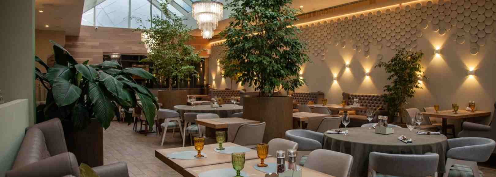 Фотография банкетного зала Грейс Эль Параисо на 40 персон