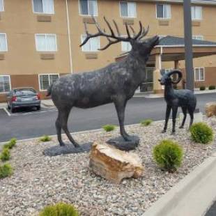 Фотографии гостиницы 
            Rodeway Inn Central Colorado Springs