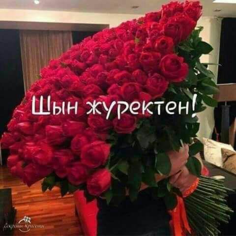 Фотография хостела Жанаозен