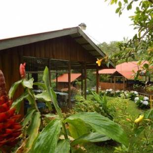 Фотографии гостиницы 
            Vista Turrialba Lodge