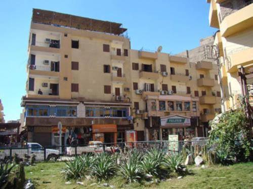 Фотографии хостела 
            Venus Hostel Luxor