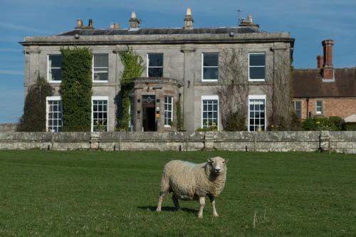 Фотография гостиницы Sweeney Hall Hotel
