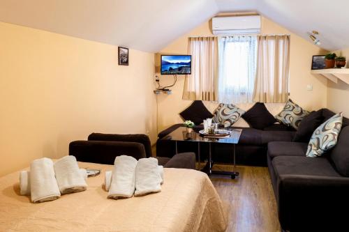 Фотографии гостевого дома 
            Guest house Qalaveri