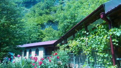 Фотография гостиницы Starcarrent