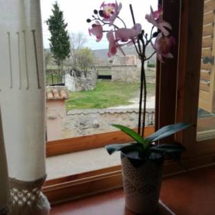 Фотографии гостевого дома
Villa Lucia