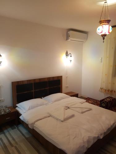 Фотография гостевого дома CĂSUȚA LUI ION