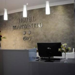 Фотографии гостиницы 
            Hotel Manzanito