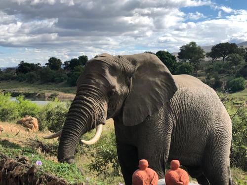 Фотография гостевого дома Hennie's Rest