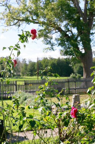 Фотография мини отеля Årröds Boställe B&B