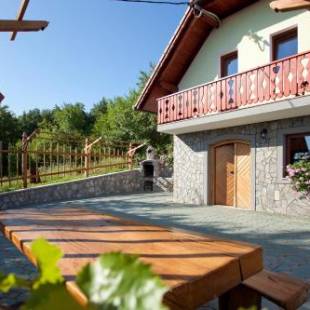 Фотографии гостевого дома 
            Vineyard Cottage Lustek