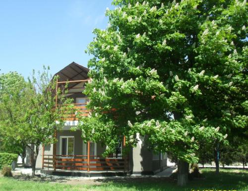 Фотографии пансионата
Энергия