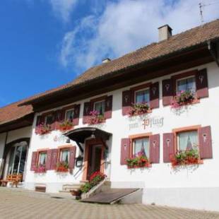 Фотографии гостиницы 
            Hotel Landgasthof zum Pflug