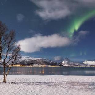 Фотографии кемпинга 
            Fjordbotn Camping