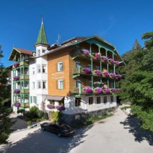 Фотография апарт отеля NaturResidence Dolomitenhof