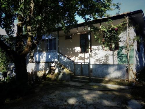 Фотография гостевого дома Guest House Noe