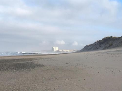 Фотография гостевого дома Vivenda Mar e Terra