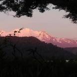 Фотография мини отеля Two Rivers Ohakune