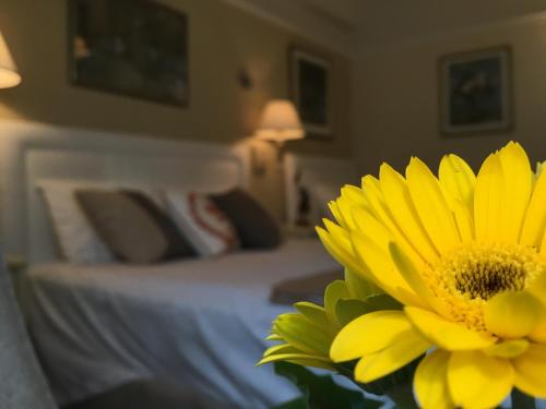 Фотография мини отеля Cornell Hotel de France