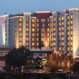 Фотография гостиницы St. Petersburg Marriott Clearwater