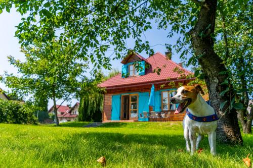 Фотографии гостевого дома 
            Bay House Puck