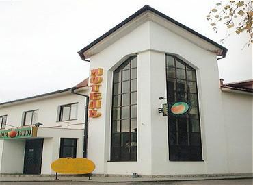 Фотография гостиницы Золотое яблоко