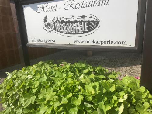 Фотография гостевого дома Hotel-Restaurant Neckarperle