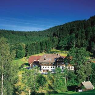 Фотографии гостиницы 
            Waldhotel Fehrenbach