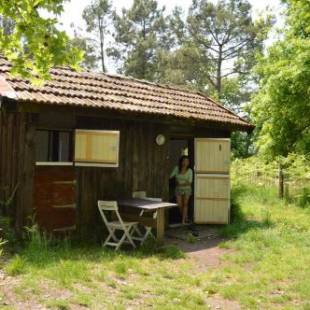 Фотографии гостевого дома 
            Cabane en forêt