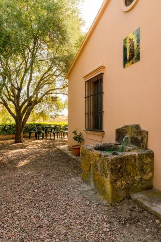 Фотографии гостевого дома 
            Cortijo El Carmen