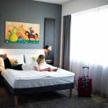 Фотография гостиницы ibis styles Grudziadz