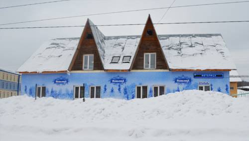 Фотография гостиницы Метелица