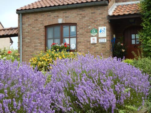 Фотография мини отеля B&B La Chrysalide