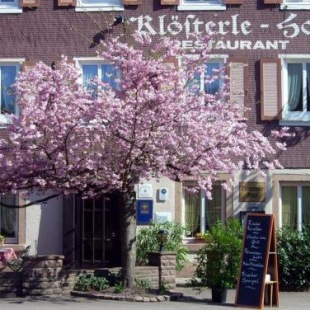 Фотография гостиницы Klösterle Hof