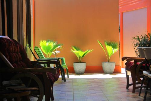 Фотографии мини отеля 
            Apartamentos Mansión Tropical