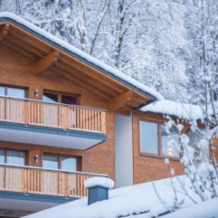 Фотографии апарт отеля 
            Appartement Dorf Wagrain Alpenleben by AlpenTravel