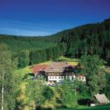 Фотография гостиницы Waldhotel Fehrenbach