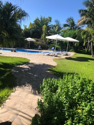 Фотография гостевого дома Tijarafe 1