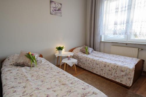 Фотография мини отеля Willa Lawenda