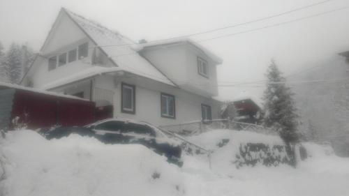 Фотография гостевого дома Усадьба Кристиан