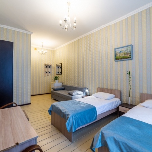 Фотография номера гостиницы Викена