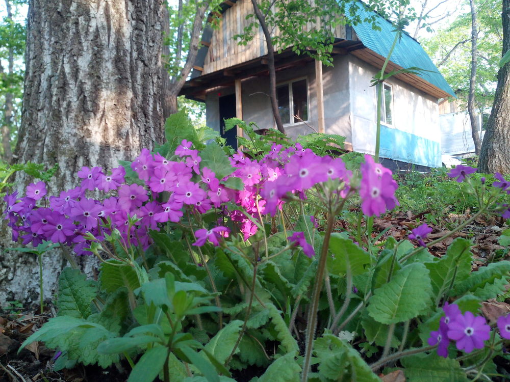 Фотография базы отдыха Фазенда Новгородская