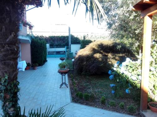 Фотография мини отеля Villa Ormeni