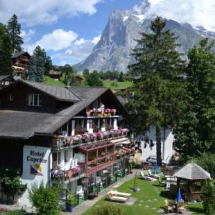 Фотографии гостиницы 
            Hotel Caprice - Grindelwald