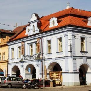 Фотографии гостиницы 
            Hotel Zlatá Včela