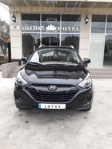 Фотография гостиницы Lotus