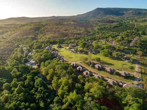 Фотография гостиницы Hazyview Cabanas