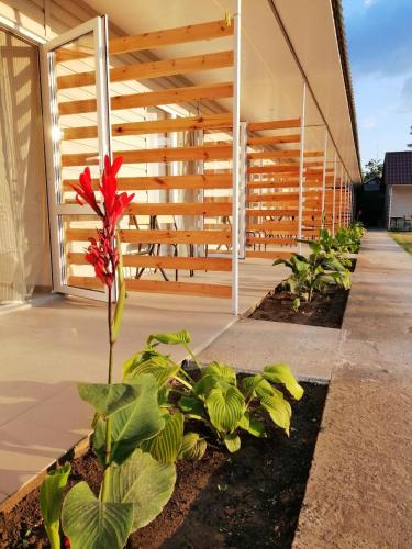 Фотография базы отдыха Буджак